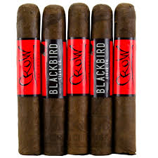 BLACKBIRD Blackbird Crow San Andres