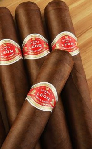 CURIVARI Gloria de Leon Dominante