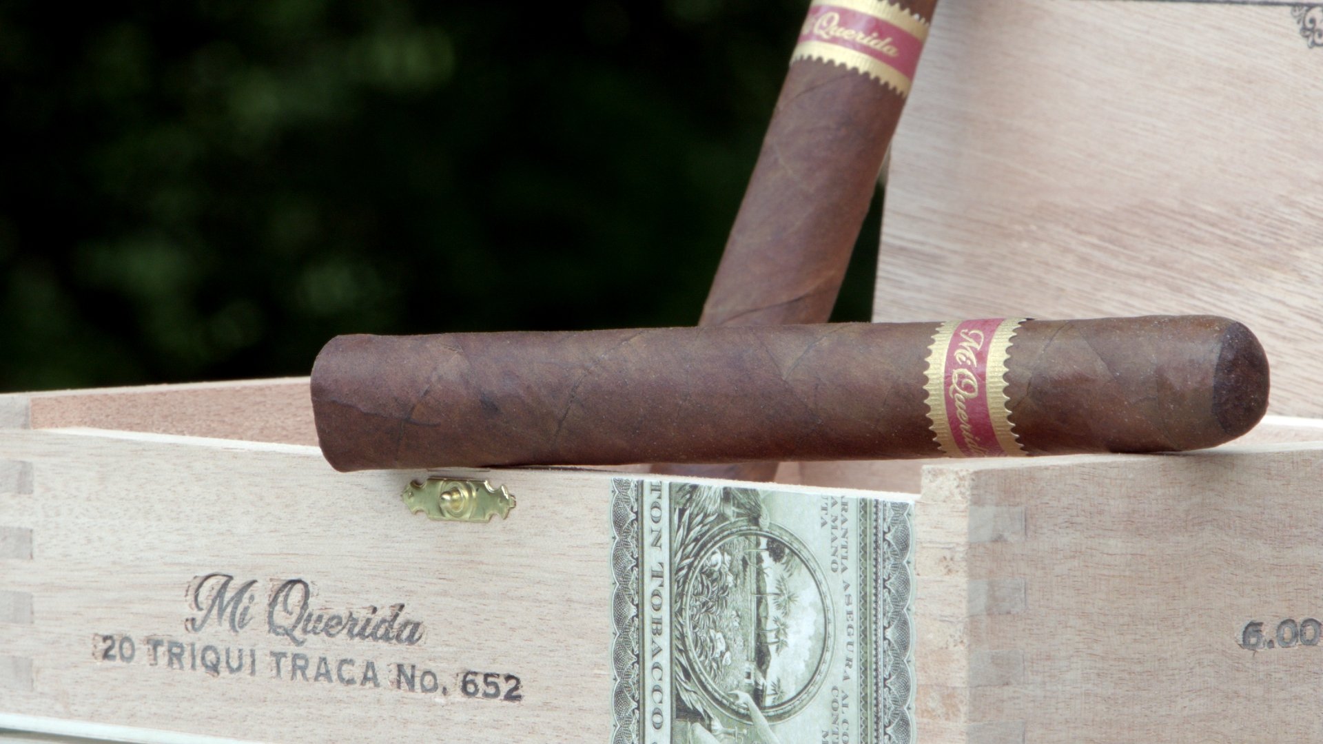 DUNBARTON TOBACCO & TRUST Mi Querida Triqui Traca no652