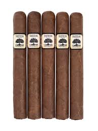 FOUNDATION CIGARS Charter Oak Habano
