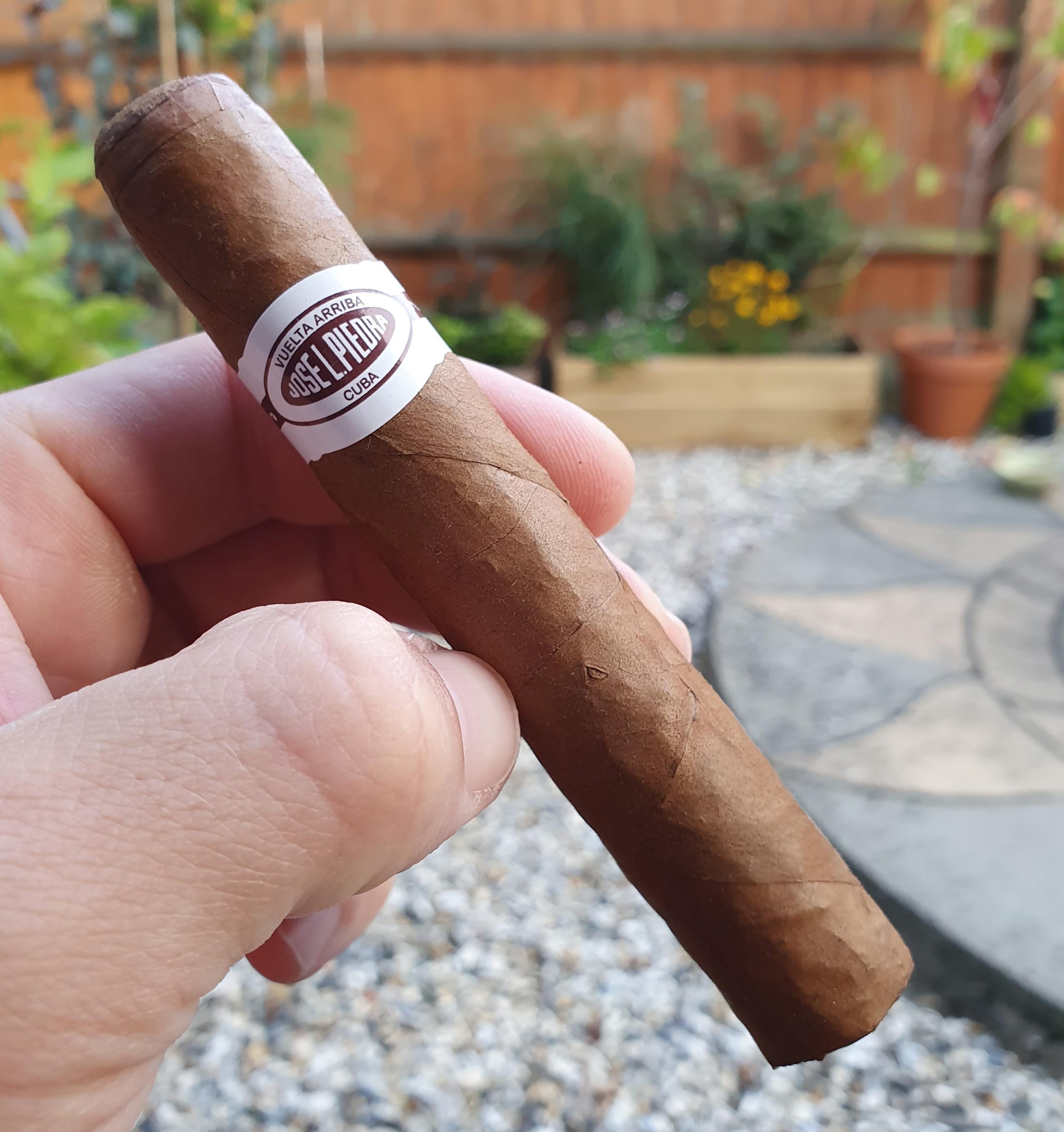 JOSE L. PIEDRA Petit Caballeros