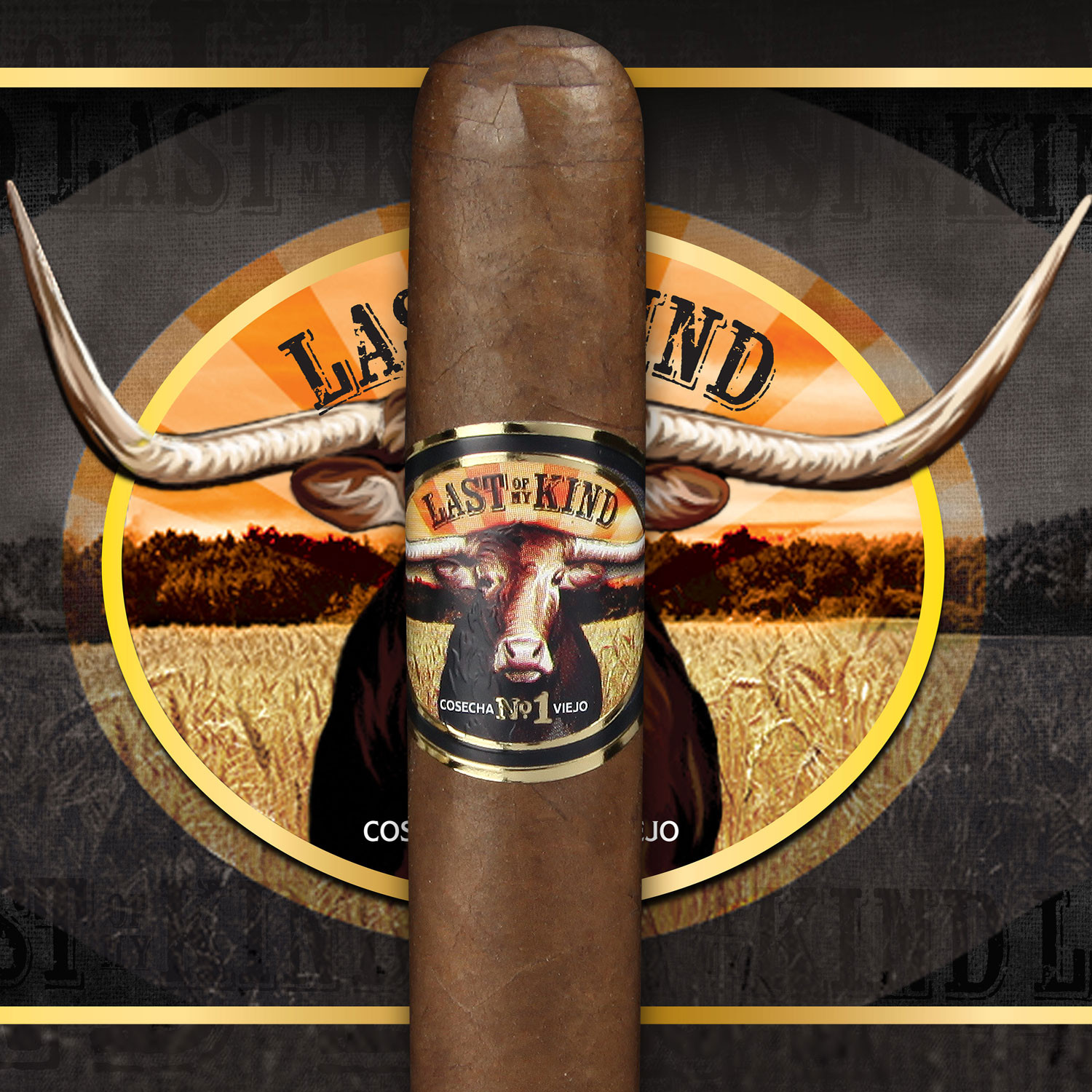 LAST OF MY KIND Sigma