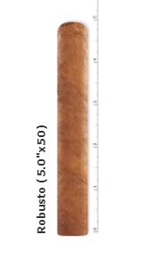 MISTAKES robusto 5 * 50
