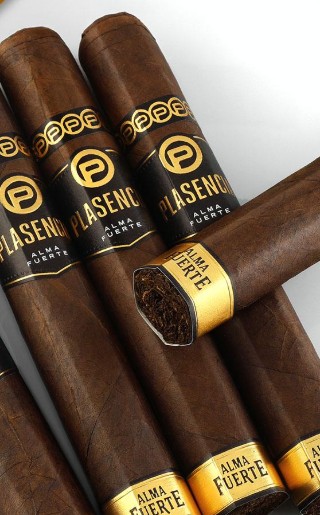 PLASENCIA Alma Fuerte SIxto II