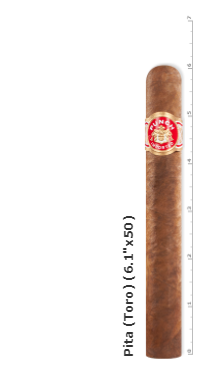 PUNCH Punch Clasico Pita