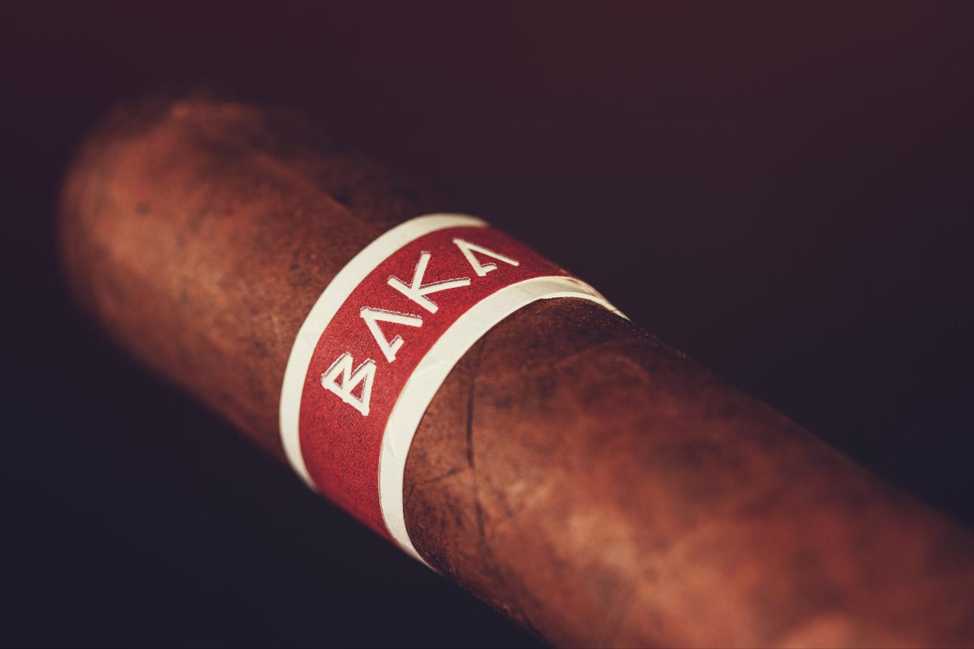 RoMa CRAFT Baka Bantu