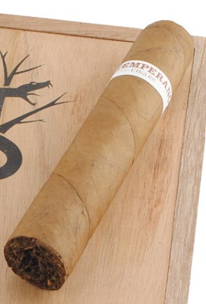 RoMa CRAFT Intemperance EC XVIII Virtue / short .