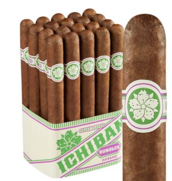 ROOM 101 Ichiban Habano