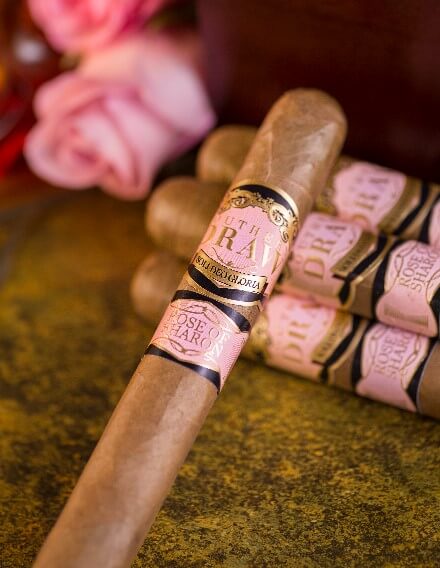 SOUTHERN DRAW Southern Draw Rose Of Sharon Desert Rose